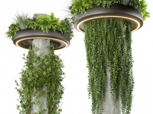 Collection plant vol 532 - bush - ampelous - column - fitowall - ivy 3D Модель