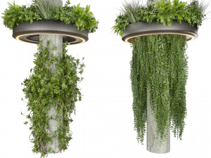 Collection plant vol 532 - bush - ampelous - column - fitowall - ivy 3D Модель
