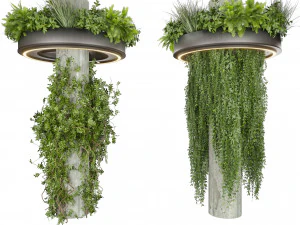Collection plant vol 532 - bush - ampelous - column - fitowall - ivy 3D Model