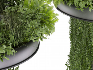 Collection plant vol 532 - bush - ampelous - column - fitowall - ivy 3D Модель
