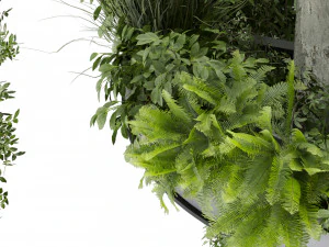 Collection plant vol 532 - bush - ampelous - column - fitowall - ivy 3D Model