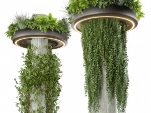 Collection plant vol 532 - bush - ampelous - column - fitowall - ivy 3D Модель