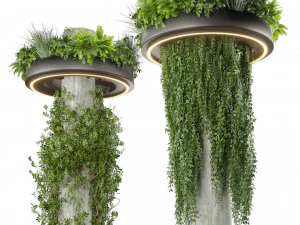Collection plant vol 532 - bush - ampelous - column - fitowall - ivy 3D Model