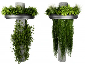 Collection plant vol 532 - blender model 3D Model