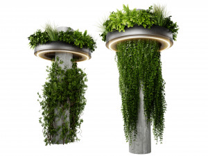 Collection plant vol 532 - blender model Modelo 3D
