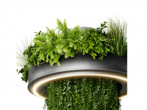 Collection plant vol 532 - blender model 3D Model