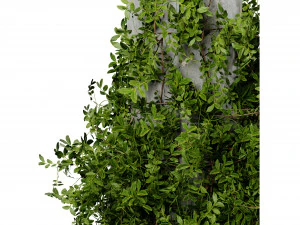 Collection plant vol 532 - blender model 3D Model