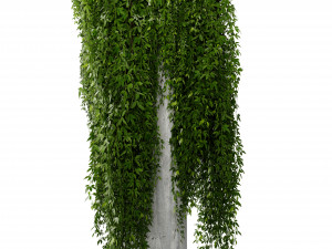 Collection plant vol 532 - blender model Modelo 3D