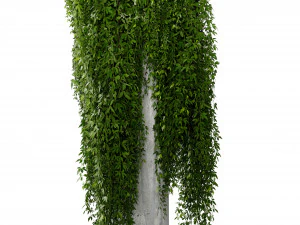 Collection plant vol 532 - blender model 3D Model