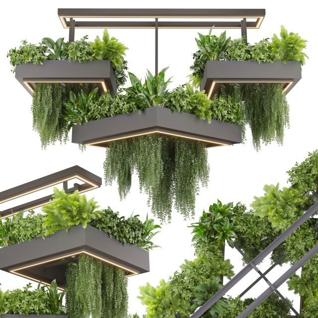 Collection plant vol 533 - chandelier - ampelous - ivy - fern 3D Model .c4d .max .obj .3ds .fbx .stl .blend 