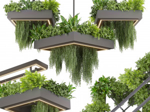 Collection plant vol 533 - chandelier - ampelous - ivy - fern 3D Модель