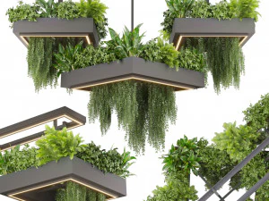 Plante de collection vol 533 - lustre - ampelous - lierre - foug&egrave;re Modèle 3D