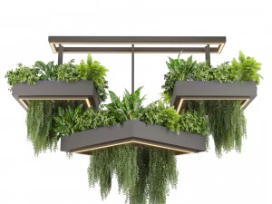 Collection plant vol 533 - chandelier - ampelous - ivy - fern 3D Model