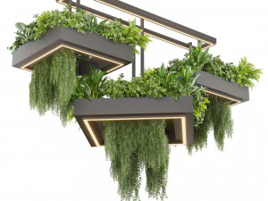 Collection plant vol 533 - chandelier - ampelous - ivy - fern 3D Model