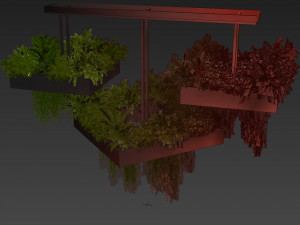 Collection plant vol 533 - chandelier - ampelous - ivy - fern 3D Model