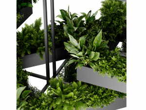 Collection plant vol 533 - blender model 3D 模型