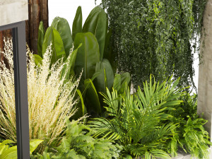 Collection plant vol 534 - garden - Landscape Design - backyard Modelo 3D
