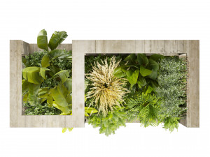 Collection plant vol 534 - garden - Landscape Design - backyard Modelo 3D