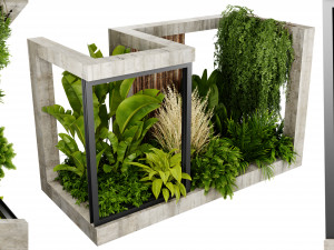 Collection plant vol 534 - blender model 3D Модель