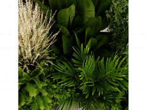 Collection plant vol 534 - blender model 3D Модель