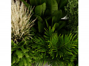 Collection plant vol 534 - blender model 3D Model