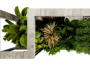 Collection plant vol 534 - blender model 3D Model