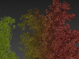 Collection plant vol 535 - tree - ash - Urban environment 3D Model