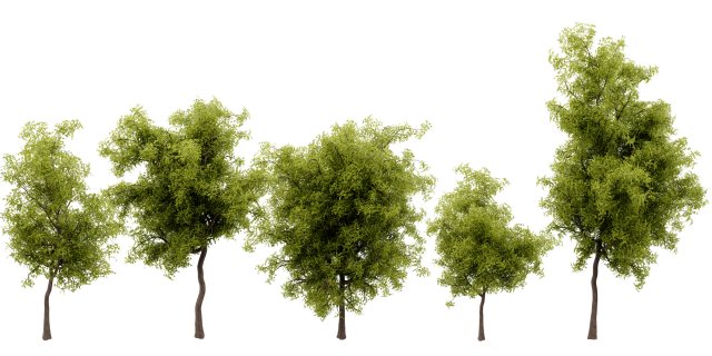 Collection plant vol 535 - blender model 3D मॉडल .c4d .max .obj .3ds .fbx .stl .blend 