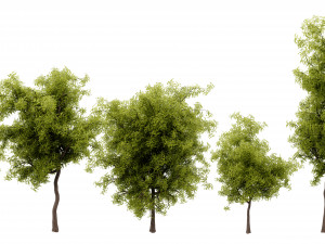 Collection plant vol 535 - blender model 3D Модель