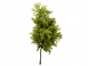 Collection plant vol 535 - blender model 3D मॉडल