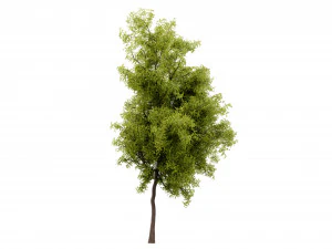 Collection plant vol 535 - blender model 3D Model