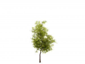 Collection plant vol 535 - blender model 3D मॉडल