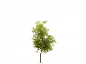 Collection plant vol 535 - blender model 3D Model