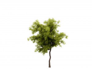 Collection plant vol 535 - blender model 3D मॉडल