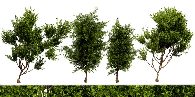Collection plant vol 536 - blender model Modello 3D .c4d .max .obj .3ds .fbx .stl .blend 