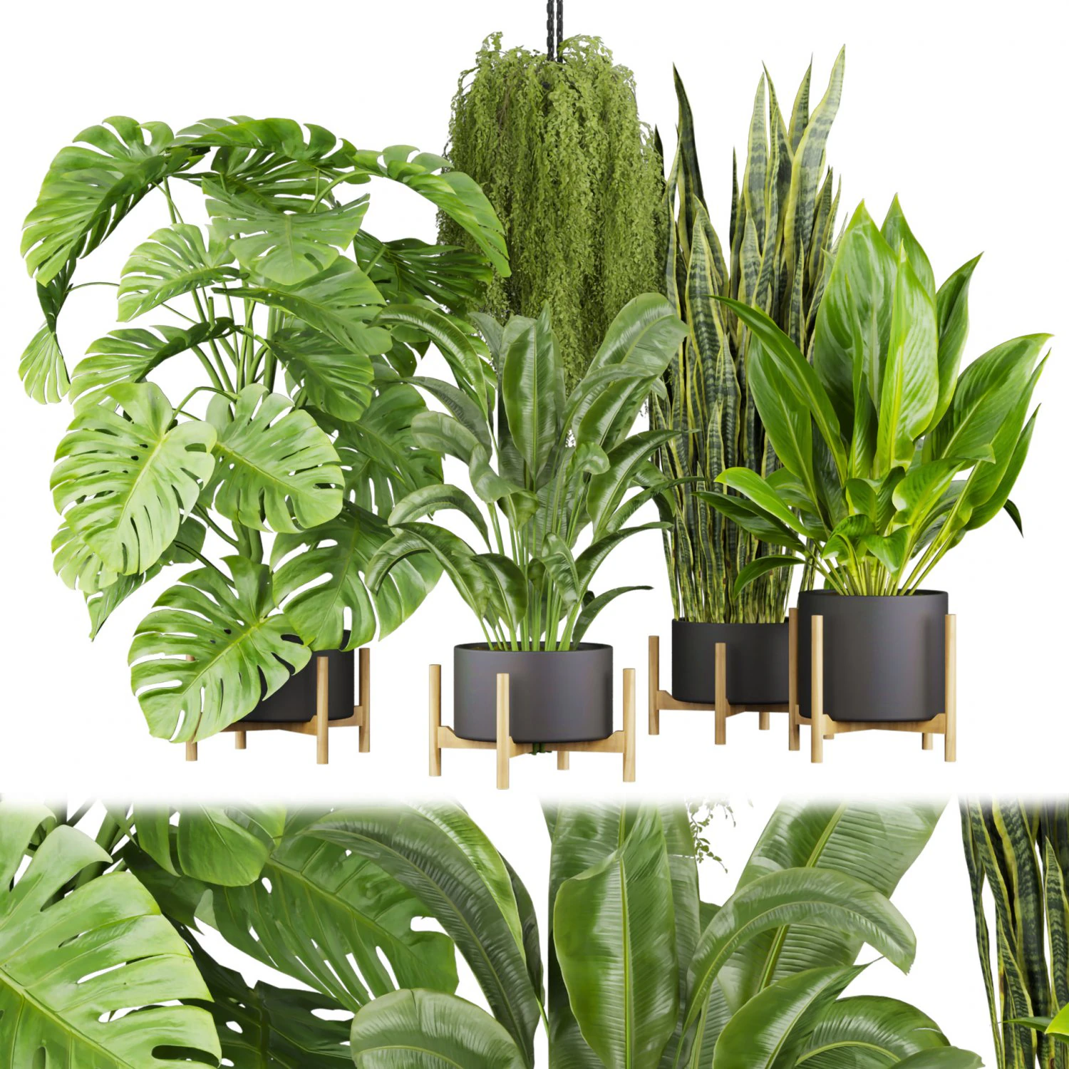Collection plant vol 537 - banana - peace lily - palm - hanging 3D Model .c4d .max .obj .3ds .fbx .stl .blend 