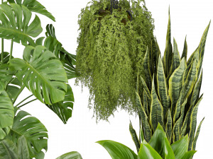 Collection plant vol 537 - banana - peace lily - palm - hanging Modèle 3D