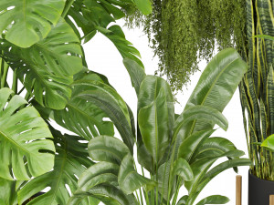 Collection plant vol 537 - banana - peace lily - palm - hanging Modèle 3D