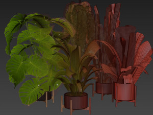 Collection plant vol 537 - banana - peace lily - palm - hanging Modèle 3D