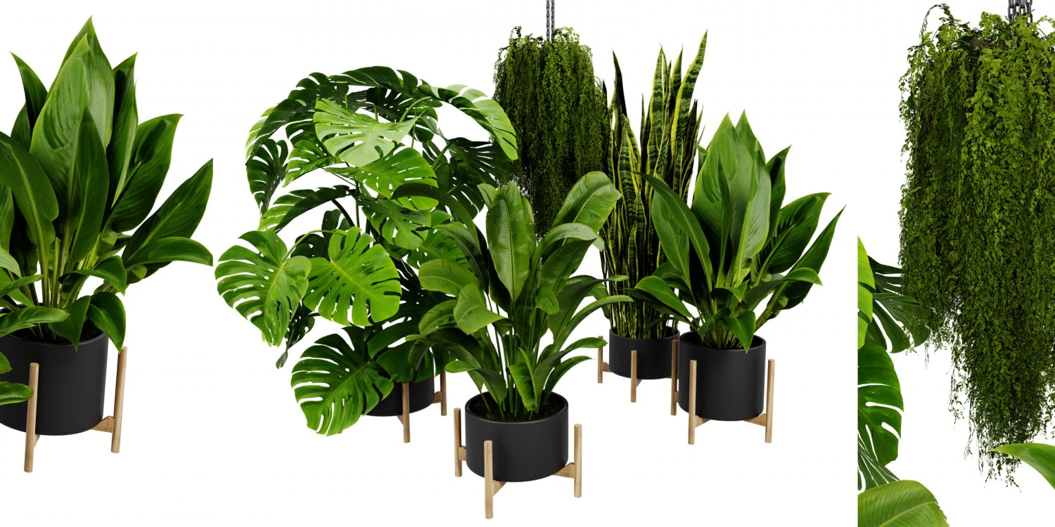 Collection plant vol 537 - blender model 3D Model .c4d .max .obj .3ds .fbx .stl .blend 