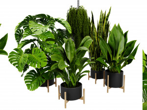 Collection plant vol 537 - blender model 3D Модель