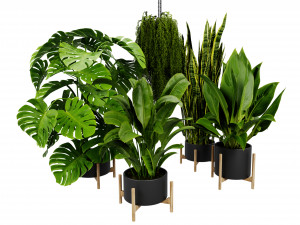 Collection plant vol 537 - blender model 3D Model