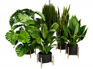Collection plant vol 537 - blender model 3D Model