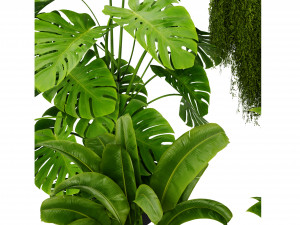 Collection plant vol 537 - blender model 3D Model