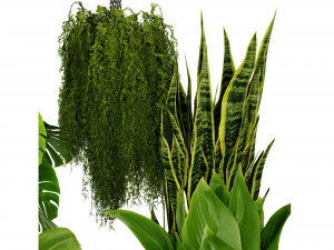 Collection plant vol 537 - blender model 3D Model
