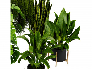 Collection plant vol 537 - blender model 3D Model