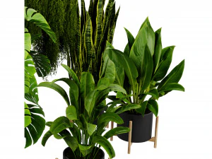 Collection plant vol 537 - blender model 3D Model