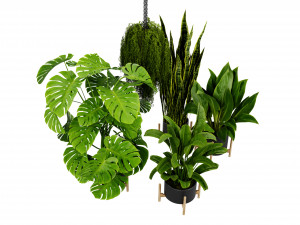 Collection plant vol 537 - blender model 3D Model