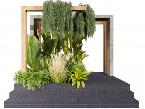 Plante de collection vol 538 - jardin - lierre - cour - Am&eacute;nagement paysager Modèle 3D