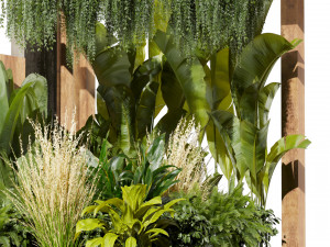 Collection plant vol 538 - garden - ivy - backyard - Landscape Design 3D मॉडल